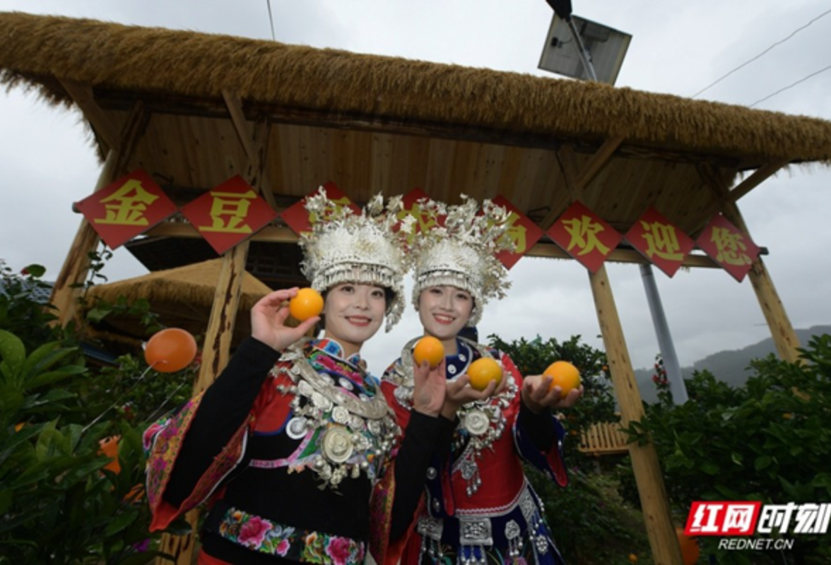 红观五溪丨五年蝶变绘新卷 长寿麻阳启新程