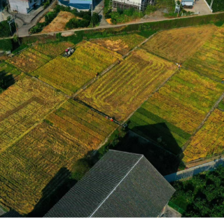 “十四五”洪江市答卷③|GDP连跨台阶破150亿元  “4+9”产业体系构建五大路径揭秘