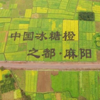 “十四五”麻阳答卷①丨科技赋能、品牌升值、产业融合 麻阳县域特色农业闯出高质量发展新路径