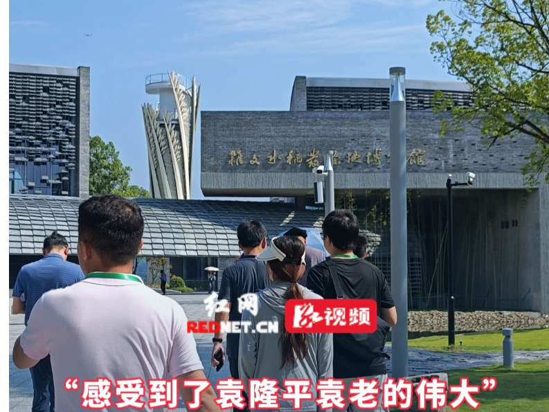 视频·张吉怀达人打卡记⑧丨溯“世界稻都”源 解码一粒种子的神奇力量