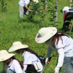 在火热的社会实践中书写青春答卷——怀化学院社会实践育人纪实