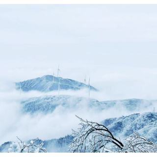 视频丨新年首场雾凇即将消退 市民登西晃山金顶打卡冰雪世界