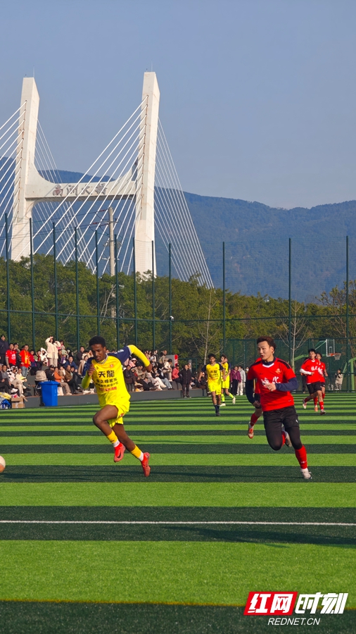 微信图片_20260202133312_1821_74.jpg 微信图片_20260202133312_1821_74.jpg