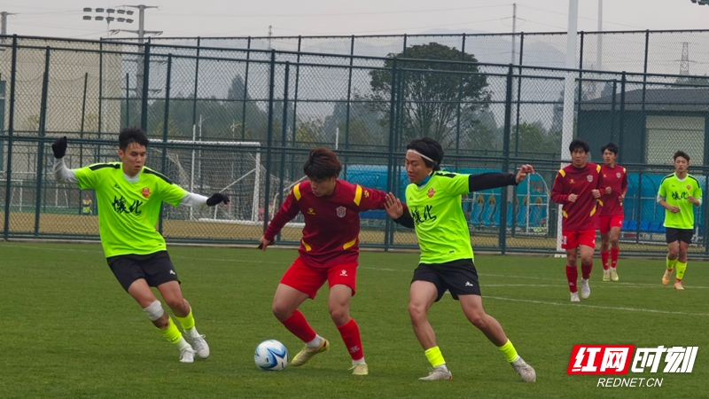 微信图片_20260202133027_1791_74.jpg 微信图片_20260202133027_1791_74.jpg