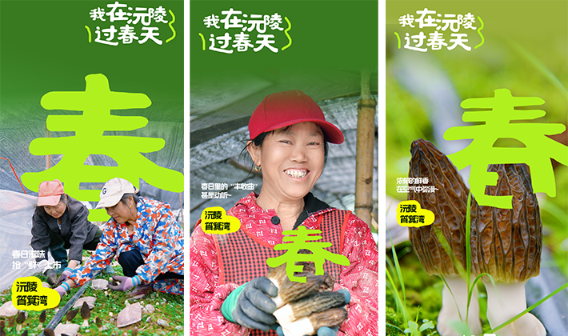 海报 | 去沅陵，赴一场春天的约会