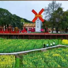 视频 | 万亩金浪环绕一园斑斓   春天在会同“撞色”了！