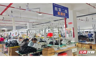 长寿麻阳，处处焕“新”①丨春染苗乡干劲足 复工复产跑出高质量发展“加速度”