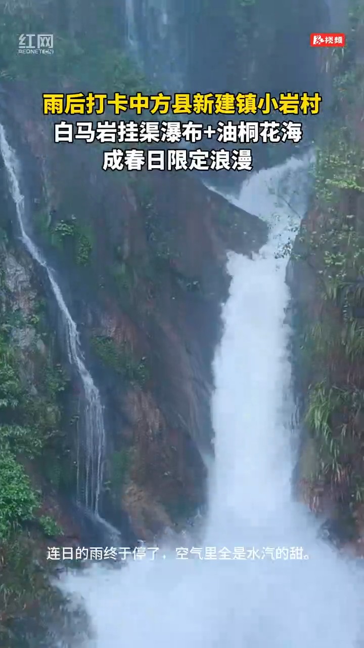 白马岩挂渠瀑布+油桐花海成春日限定浪漫