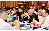 红观五溪 | 这场“赶集式”对接会 见证怀化的开放新姿