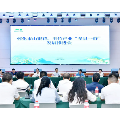 怀化市召开山银花、玉竹产业“多县一群”推进会  全力打造知名特色产业集群