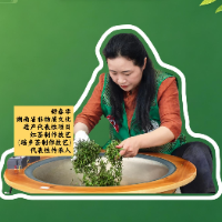 舒春华：把瑶乡茶做成品牌 带领乡亲们致富丨视频·怀化市第二届茶行业职工职业技能竞赛③
