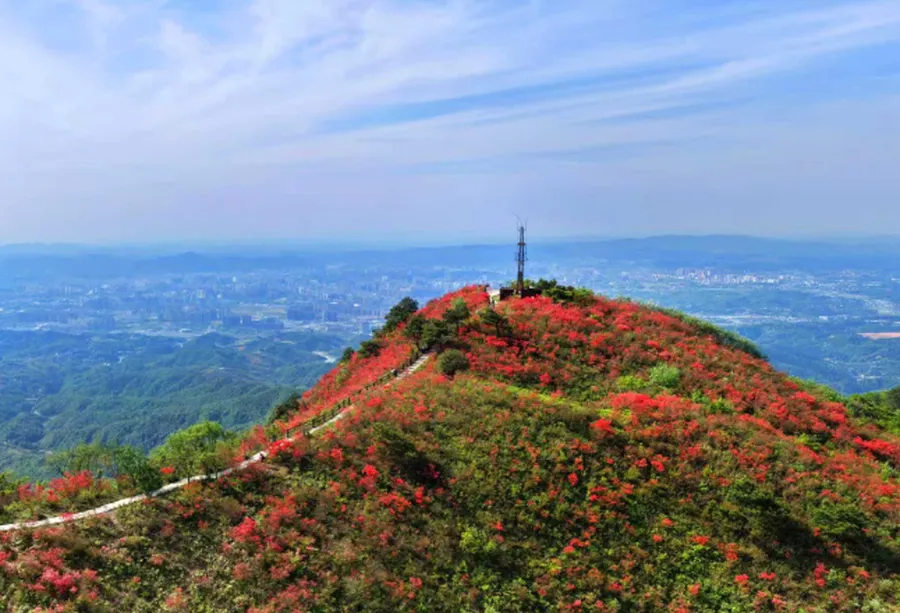 环”抱一座花城 怀化环城森林生态旅游的诗与远方