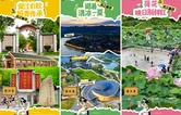 海报 | 夏日洪江市五重奏，每一帧都是心动的信号