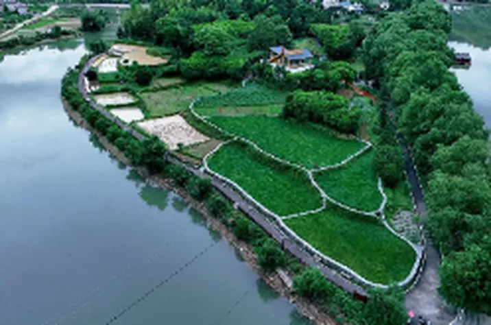 新“乡”力觉醒②丨和美乡村江口村：田园焕新景 农文旅促振兴