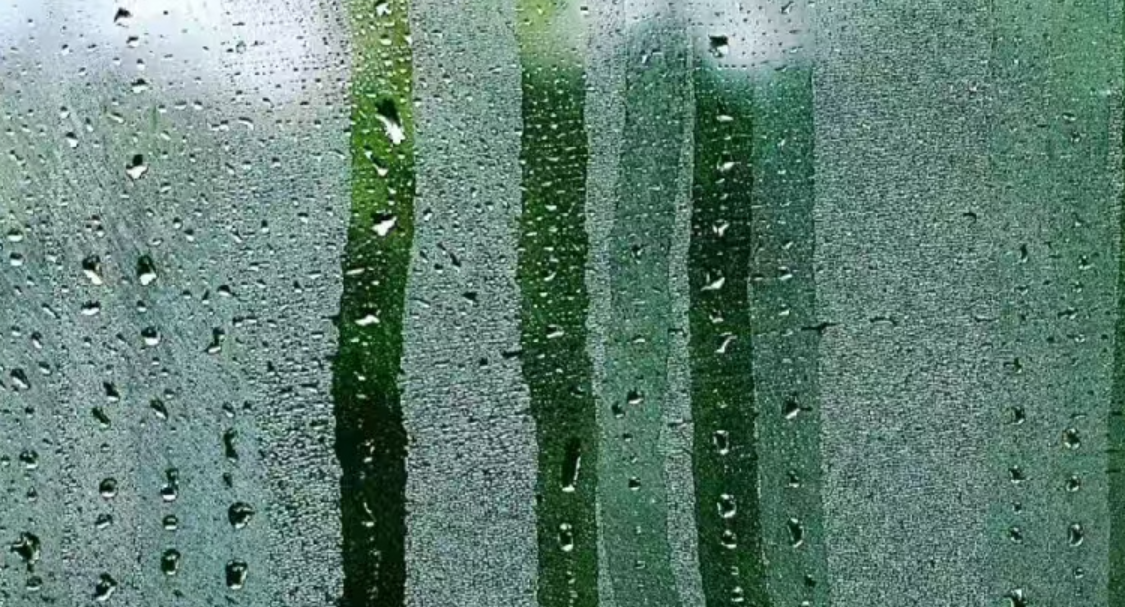 应急管理部：今年汛情总体平稳 但局地极端暴雨多发