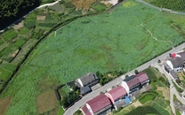 筑牢“耕”基 绘就“丰”景——看益阳市如何推动汛旱并防与耕地置换重大改革