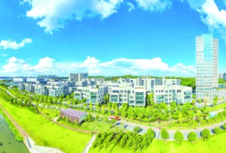 成形起势 振翅云霄 ——雨花经开区全链布局低空经济的创新实践
