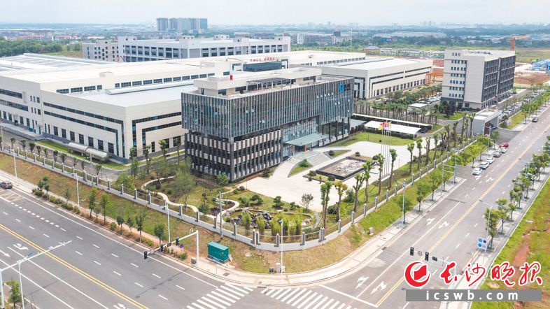 浏阳经开区杰维电池项目建设现场。黄启晴 摄.jpg