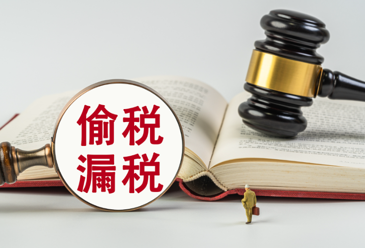 国家税务总局郴州市税务局第三稽查局依法查处一起加油站偷税案件}