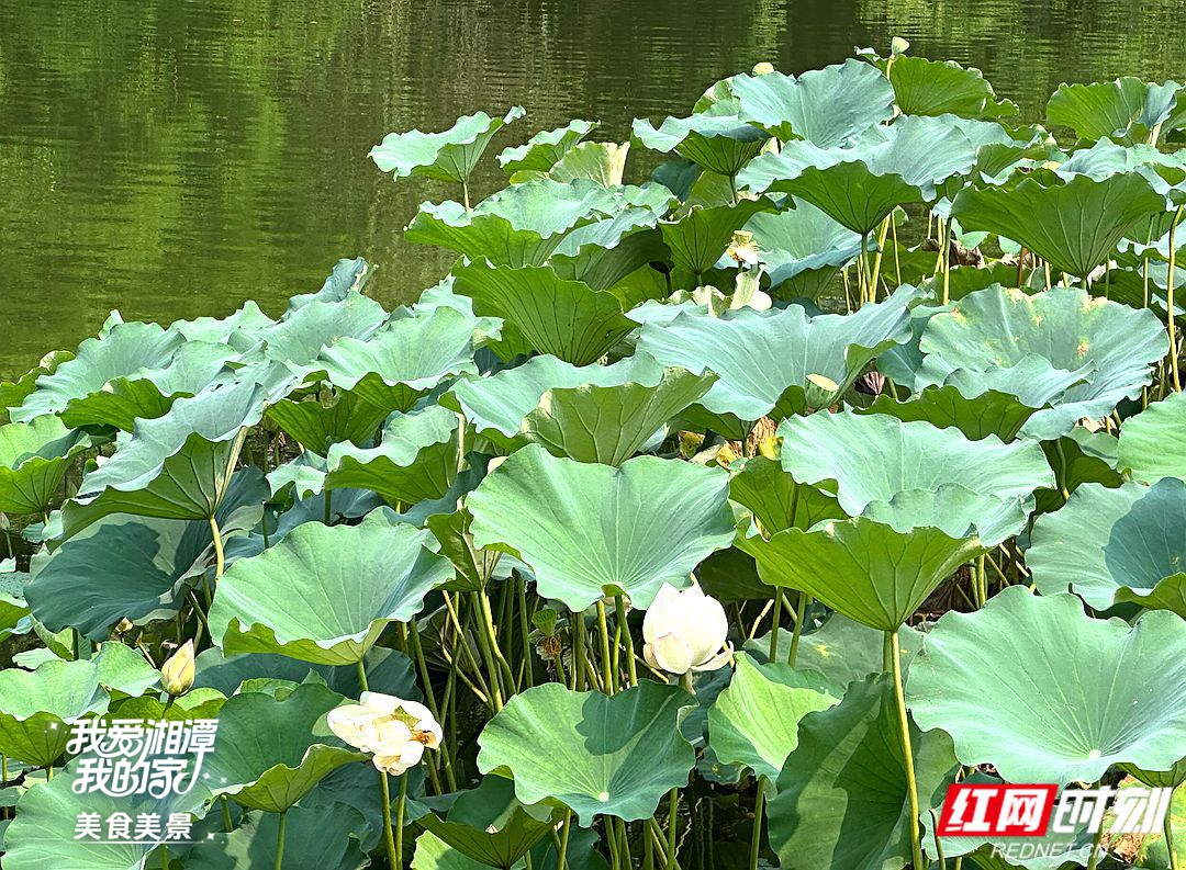 1113_副本.jpg