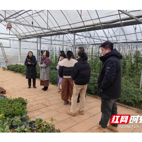 跨专业融合赋能乡村振兴 湘潭市农林牧渔名师工作室启动