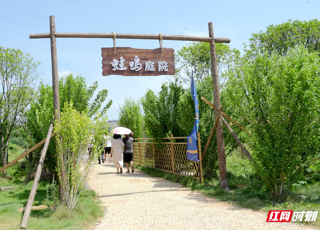 网络行7.jpg