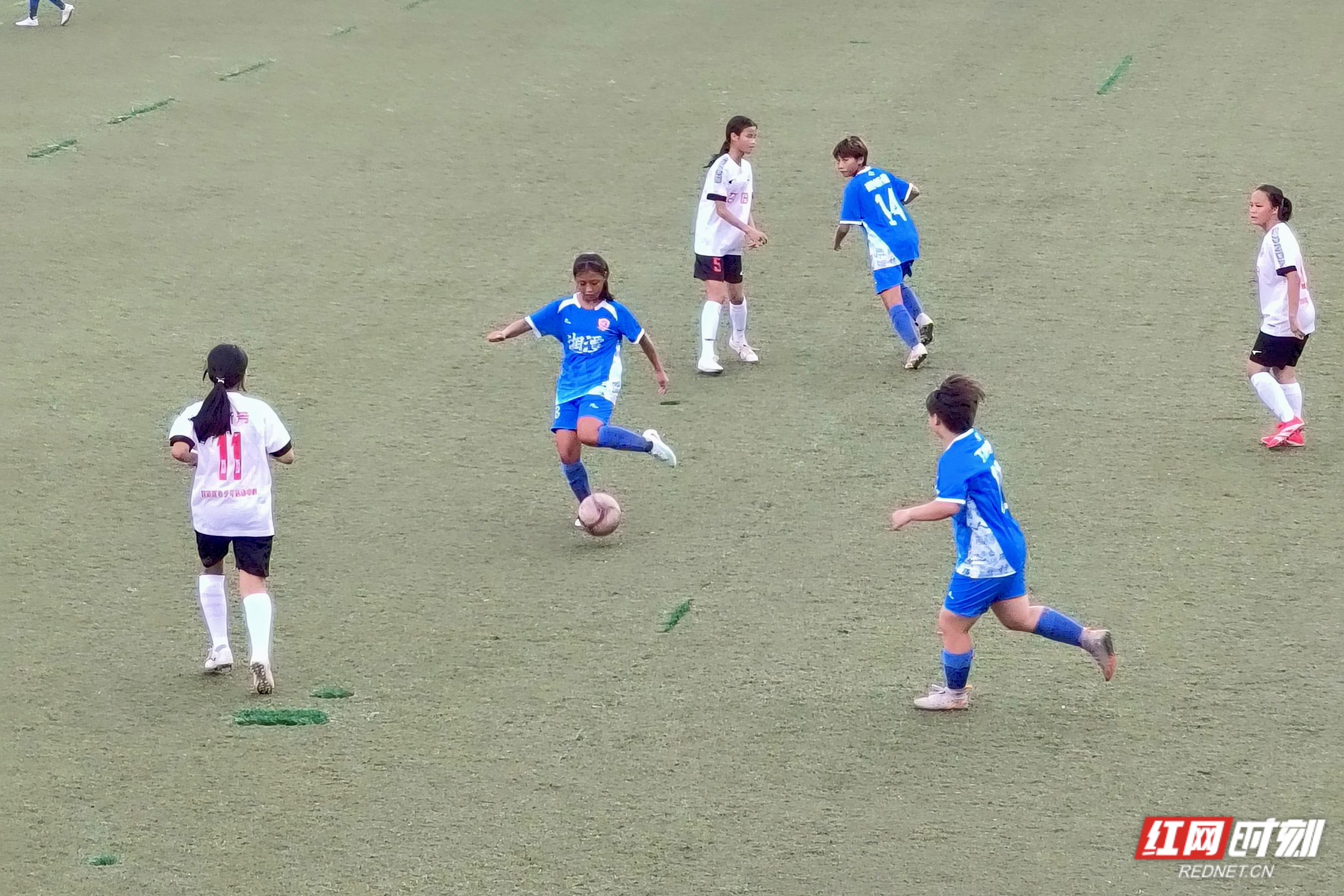 微信图片_2025-08-05_200322_346.jpg