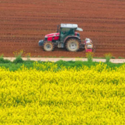 观潮的螃蟹 | 农民种粮,湖南为什么推广“211”模式