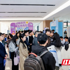 人才“芙”翼 “蓉”光万里④|近悦远来 看芙蓉如何“情暖才心”