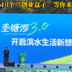 视频｜海内外的“潜力股”青年，请到圭塘河集合！10个“创业盒子”等你来