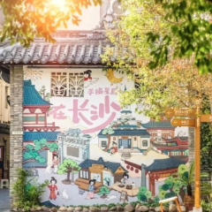 找准流量密码,老街区崛起文旅新势力——芙蓉区白果园旅游休闲街区焕新记