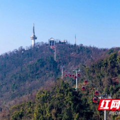 寻冬景，探文脉，岳麓山元旦沉浸式打卡路线上线