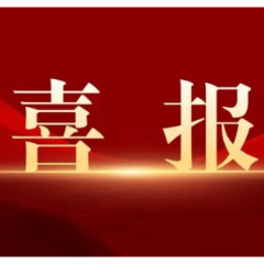 喜报!芙蓉区两项工作获评全国工商联典型