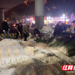 以雪为令,大寒破冰,芙蓉区的“暖流”在涌动