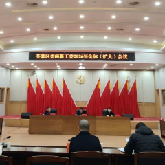 芙蓉区召开区委两新工委2026年全体 (扩大)会议暨全区行业协会商会工作会议