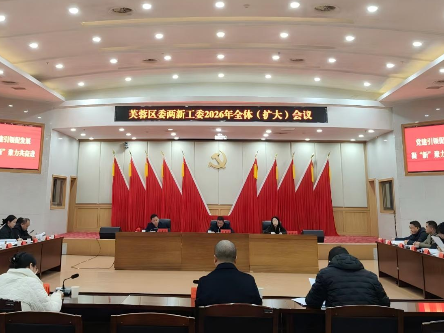 芙蓉区召开区委两新工委2026年全体 （扩大）会议暨全区行业协会商会工作会议