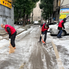 一周芙蓉荟｜寒潮中守护 暖阳下同行 芙蓉天正晴