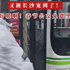 视频丨又被长沙宠到了 暖心！春节公交免费坐