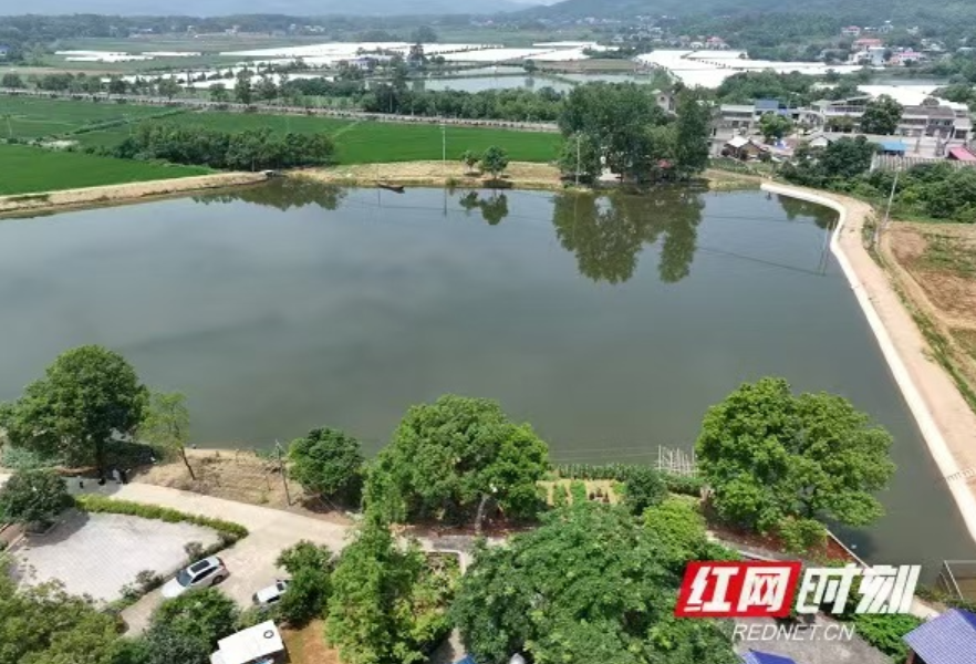 打通“肠梗阻” 长沙农业生产添“活水”