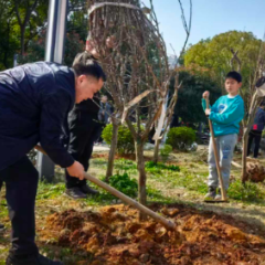 大手牵小手 湘江之畔植新绿