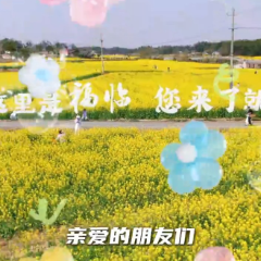 花开成海，美如油画！长沙县福临镇第三届油菜花季惊艳亮相