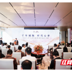 12宗核心地块+3大潜力片区集中亮相 天心区邀全球合伙人共赴“融城新征程”