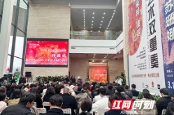 免费看，截至月底！长沙新展“解锁”匈牙利艺术双重魅力