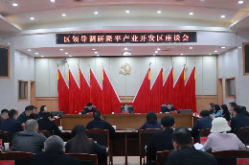 崔晓调研隆平产业开发区全面工作