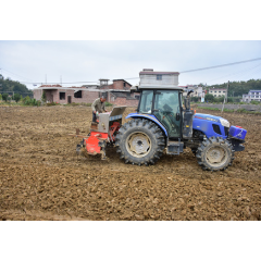 沃野“双生计”:稻油轮作里的增收账