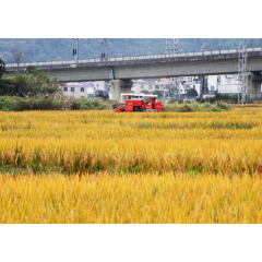 品质跃升赋能“娄米出湘”