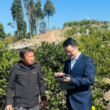 双峰农商银行：金融活水润沃野 特色果业促振兴