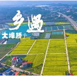 乡遇①丨聆听大埠桥春天的声音