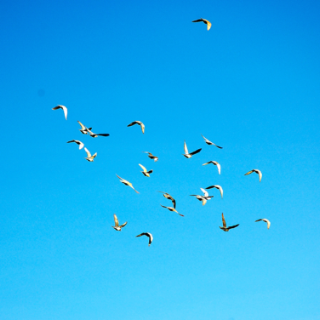 专栏丨胡代松：善荐英雄于草莽，湘才之盛筑其基