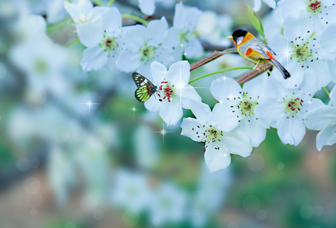 散文丨陈双娥:老家在时光里酿成了诗